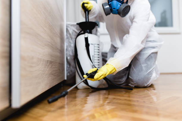 Best Pest Inspection Near Me  in Scotts Valley, CA