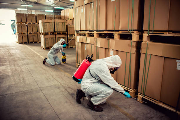 Trusted Scotts Valley, CA Pest Control Experts