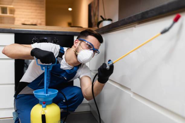 Best Pest Removal Services  in Scotts Valley, CA