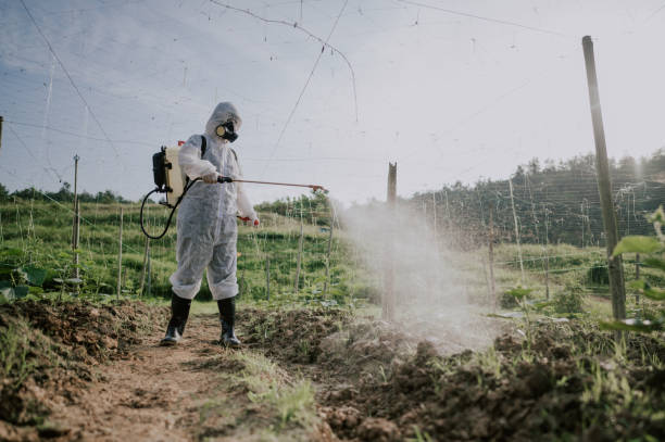 Best Affordable Pest Control Services  in Scotts Valley, CA