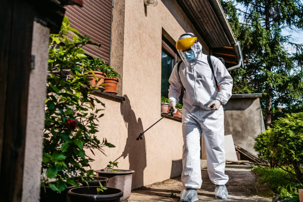 Best Pest Control Cost  in Scotts Valley, CA