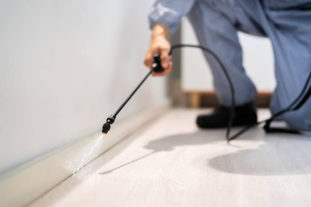 Best Mosquito Control Services  in Scotts Valley, CA