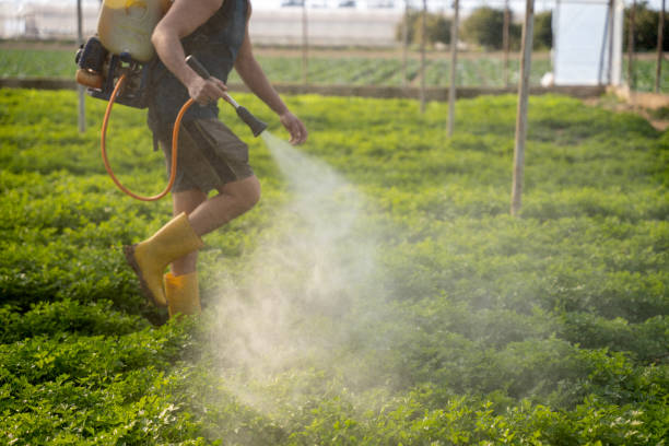 Best Emergency Pest Control  in Scotts Valley, CA