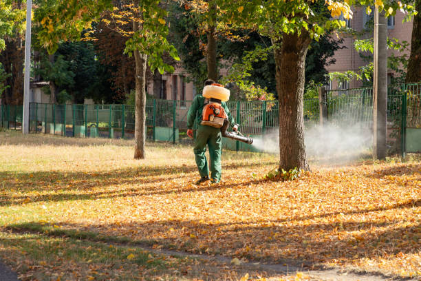 Best Pest Control for Homes  in Scotts Valley, CA