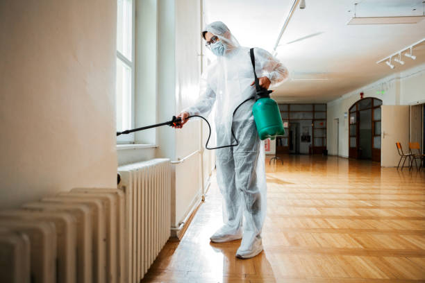 Best Bed Bug Extermination  in Scotts Valley, CA