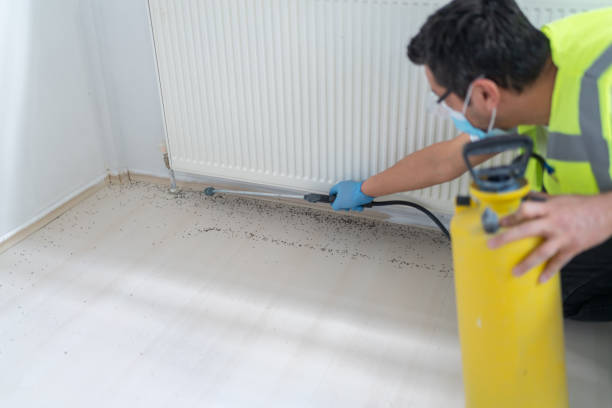 Best Residential Pest Control  in Scotts Valley, CA
