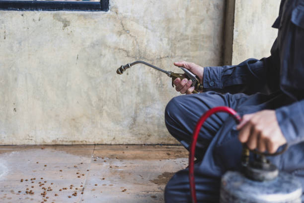 Best Best Pest Control Companies  in Scotts Valley, CA